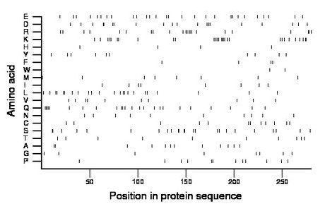 amino acid map