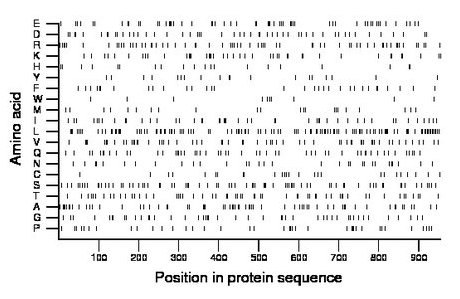 amino acid map