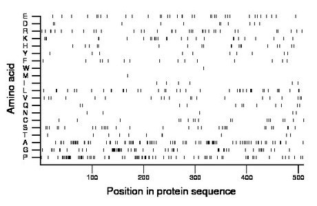 amino acid map