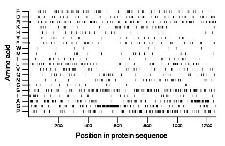 amino acid map