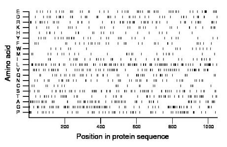 amino acid map