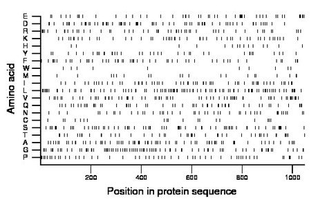 amino acid map