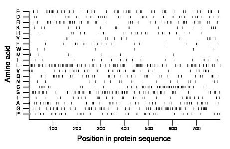 amino acid map