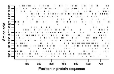 amino acid map