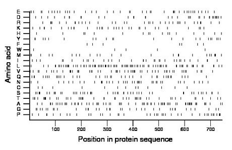 amino acid map