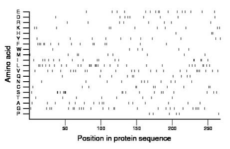 amino acid map