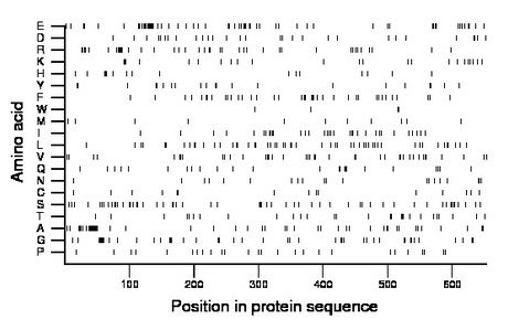 amino acid map