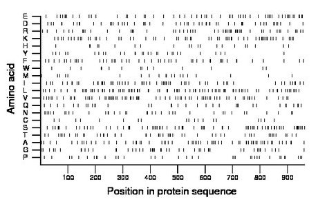 amino acid map