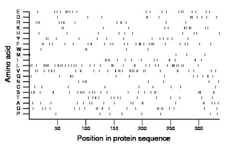 amino acid map