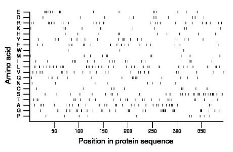 amino acid map