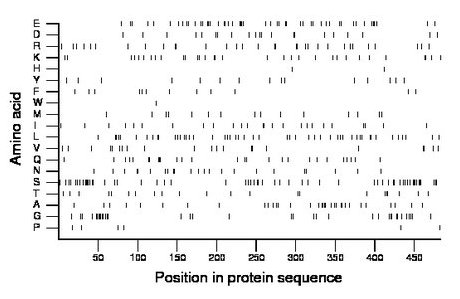 amino acid map