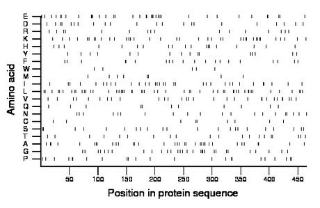 amino acid map