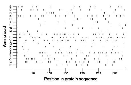 amino acid map