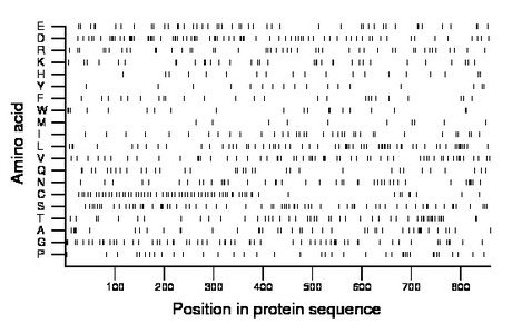 amino acid map