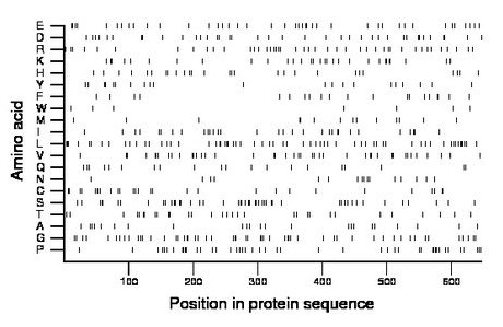 amino acid map