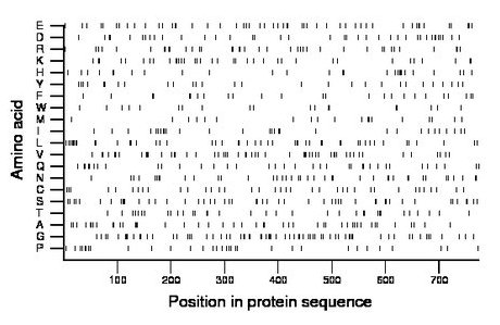 amino acid map