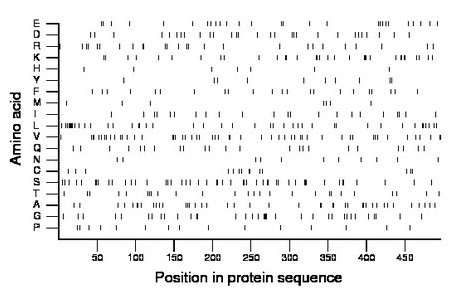 amino acid map