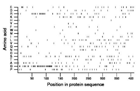 amino acid map