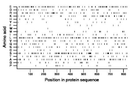 amino acid map