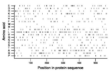 amino acid map