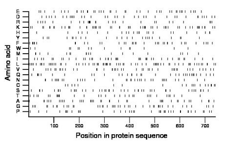 amino acid map