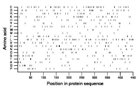 amino acid map