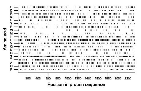 amino acid map