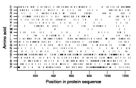 amino acid map