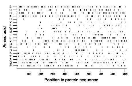 amino acid map