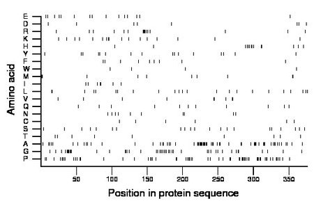 amino acid map