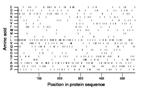 amino acid map