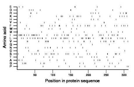 amino acid map