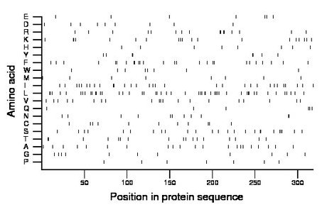 amino acid map