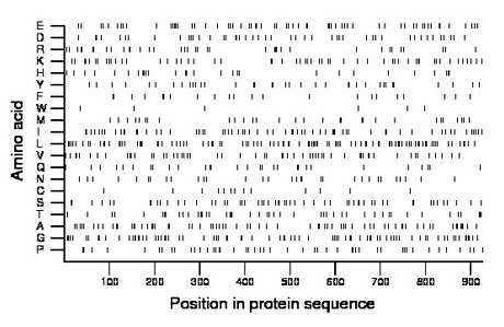 amino acid map