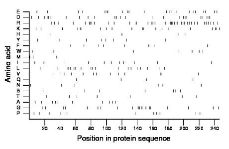 amino acid map