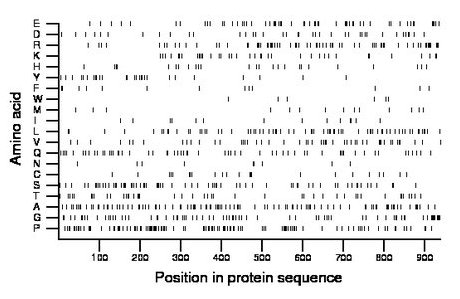 amino acid map