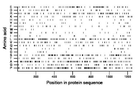 amino acid map