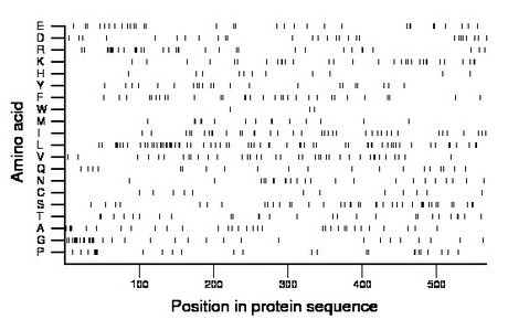 amino acid map