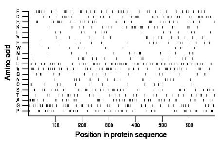 amino acid map