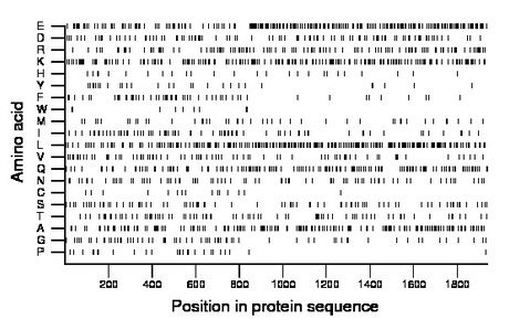 amino acid map