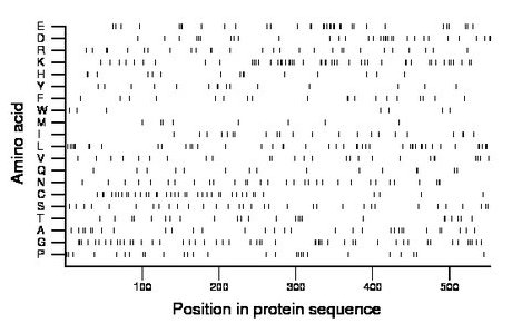 amino acid map