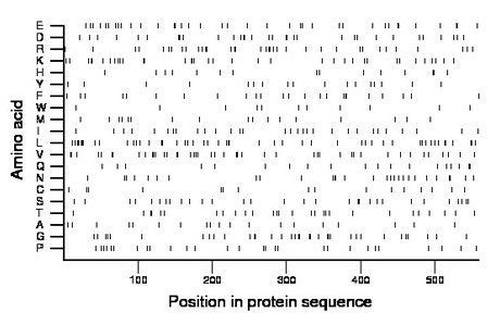 amino acid map