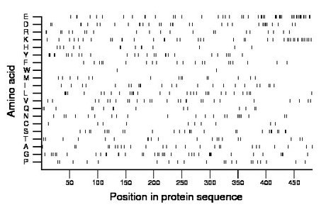 amino acid map