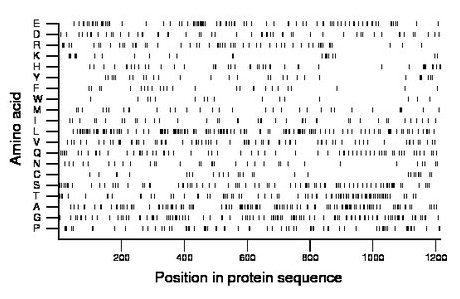 amino acid map