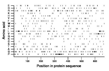 amino acid map