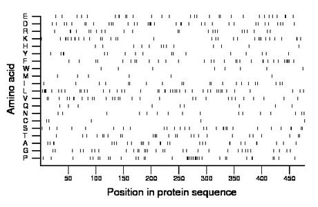 amino acid map