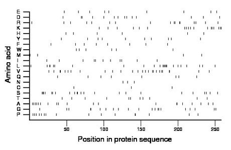 amino acid map