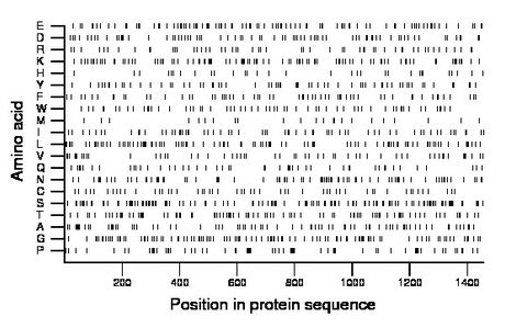 amino acid map