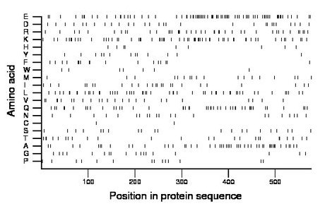 amino acid map