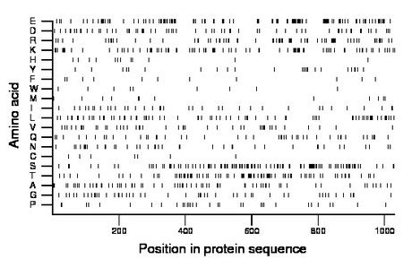 amino acid map